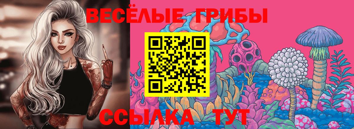 Галлюциногенные грибы мицелий Киреевск